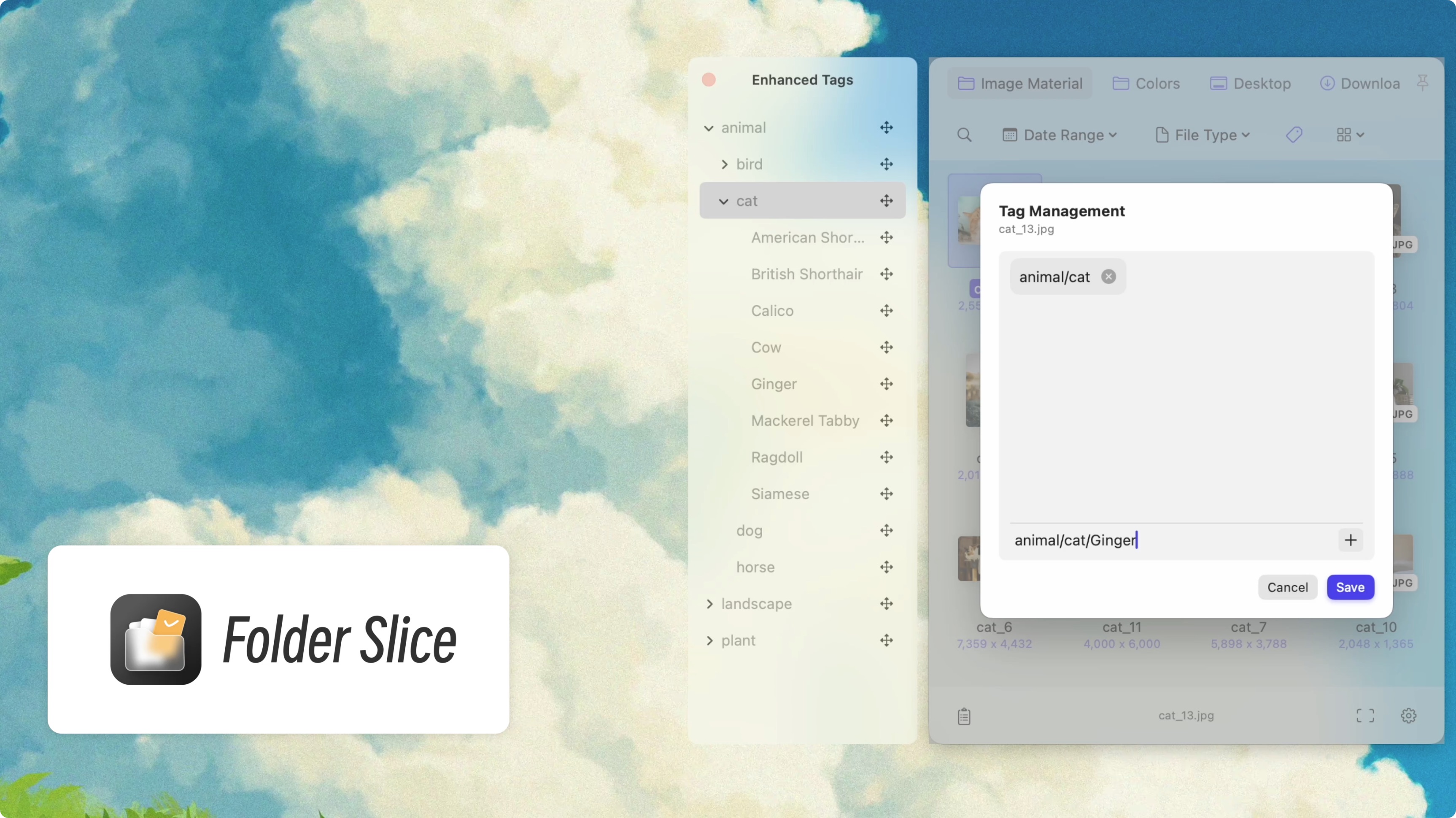 Add multi-level tags to an image