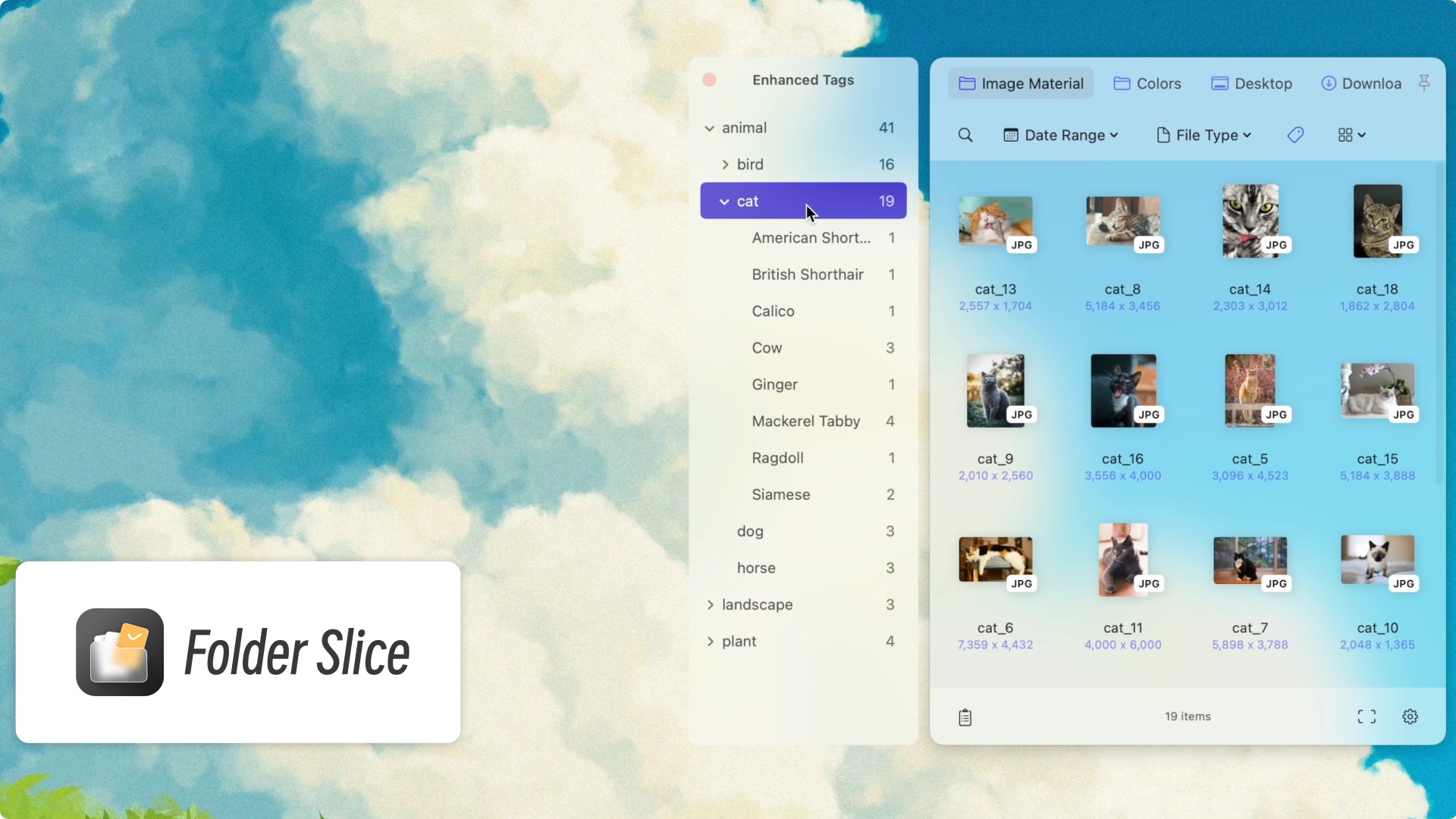 Search images with multi-level tags